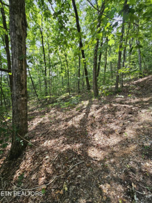 TIMBER RIDGE LOT 117, SPEEDWELL, TN 37870, photo 3 of 5