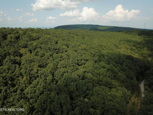 MILLSTONE MOUNTAIN RD, ROCKWOOD, TN 37854 - Image 1