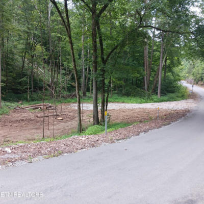 80+ ACRES BUNCH HOLLOW RD, NEW TAZEWELL, TN 37825, photo 5 of 30