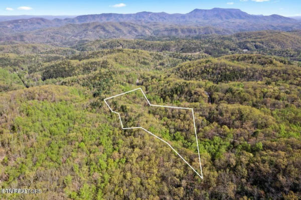 LOT TR F FOREST TRAILS DRIVE, SEVIERVILLE, TN 37876, photo 5 of 16
