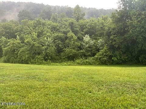 CHARLES SEIVERS BLVD, CLINTON, TN 37716, photo 1 of 4