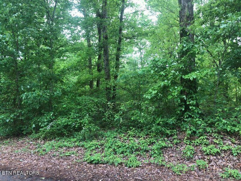 LOT 40 NW MCCLANAHAN DRIVE, CLEVELAND, TN 37312, photo 1