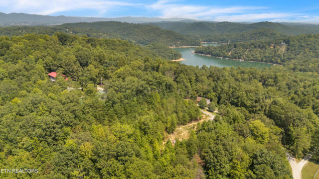 SHADY COVE RD, CARYVILLE, TN 37714 - Image 1