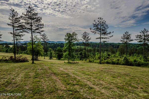 250 COUNTY ROAD 351, SWEETWATER, TN 37874 - Image 1