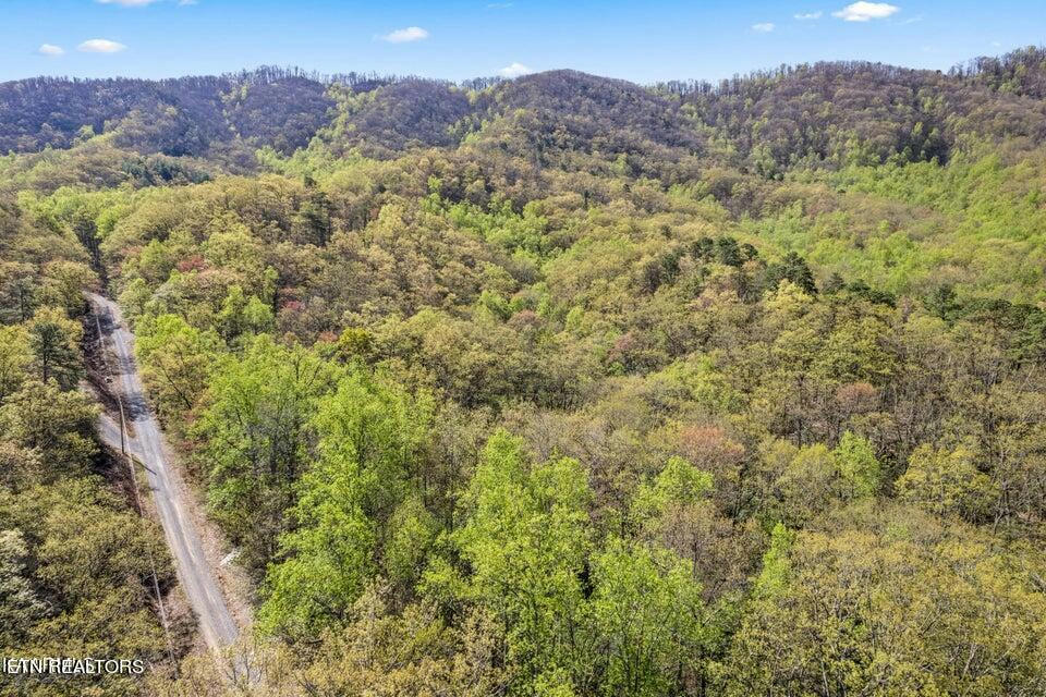 LOT TR F FOREST TRAILS DRIVE, SEVIERVILLE, TN 37876, photo 1 of 16