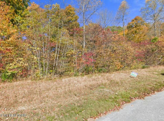 0 TANZANITE TRAIL LOT 240 TR, NEW TAZEWELL, TN 37825 - Image 1