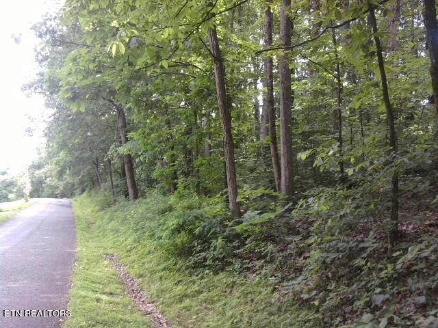 BRIARCLIFF RD, SWEETWATER, TN 37874, photo 1 of 4