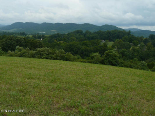5.00 ACRES OLD CAVE SPRINGS RD, TAZEWELL, TN 37879 - Image 1