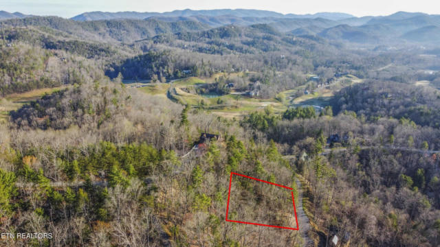 COOPER HOLLOW ROAD, TOWNSEND, TN 37882, photo 3 of 18