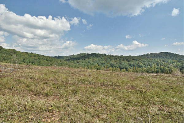 LOT #65 PINNACLE LANE, LAFOLLETTE, TN 37766, photo 3 of 10