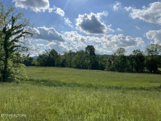 LOT A TARWATER LANE, SEVIERVILLE, TN 37862, photo 5 of 31
