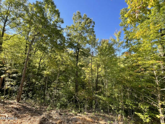 CANEY CREEK LOT 5, PIGEON FORGE, TN 37863, photo 2 of 9