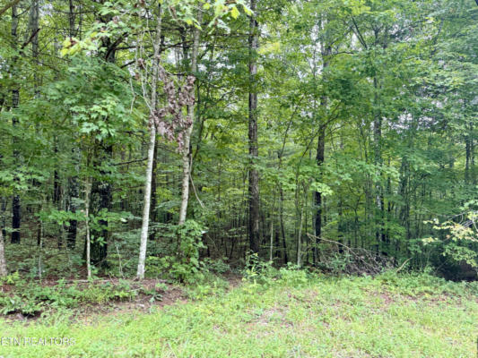 LOT 24, ELK CREEK TR, ONEIDA, TN 37841, photo 3 of 10