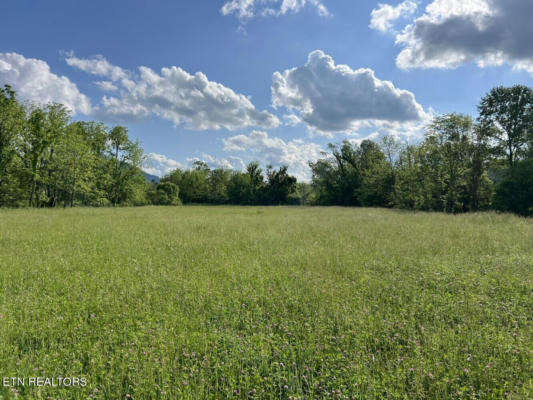 LOT A TARWATER LANE, SEVIERVILLE, TN 37862, photo 2 of 31