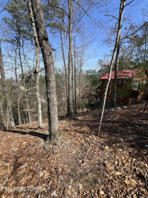 LOT 91 CHICKASAW GAP WAY, SEVIERVILLE, TN 37863, photo 2 of 5