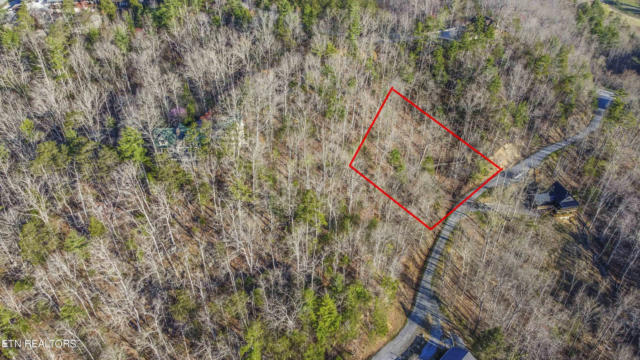 COOPER HOLLOW ROAD, TOWNSEND, TN 37882, photo 4 of 18