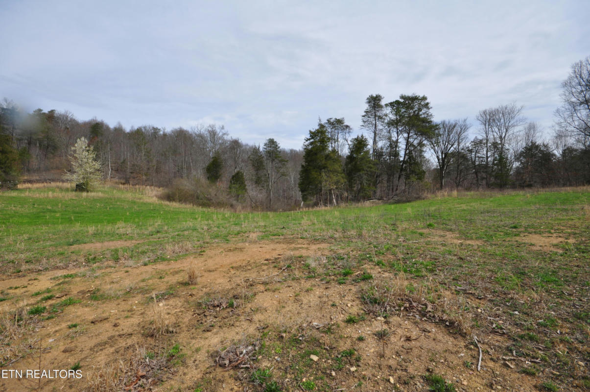 7.10 ACRES OLD TAZEWELL PIKE, LUTTRELL, TN 37779, photo 1 of 7