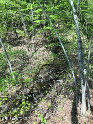 LOT 8 BLACK FOX HARBOR RD, WASHBURN, TN 37888, photo 3 of 7