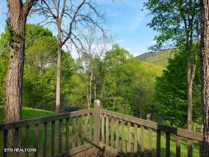1434 HEDDEN WAY, THORN HILL, TN 37881, photo 5 of 50