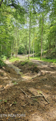 80+ ACRES BUNCH HOLLOW RD, NEW TAZEWELL, TN 37825 - Image 1