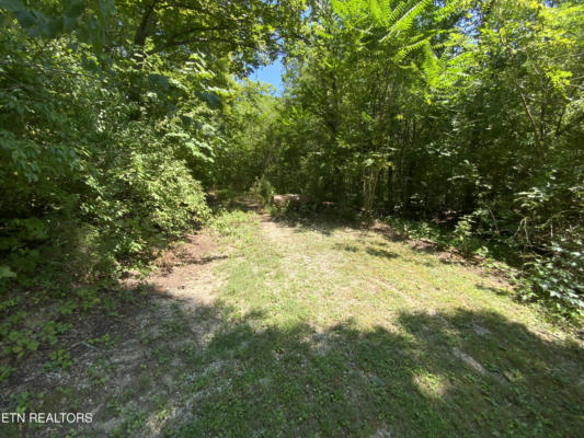 HIGHWAY 116, CARYVILLE, TN 37714 - Image 1