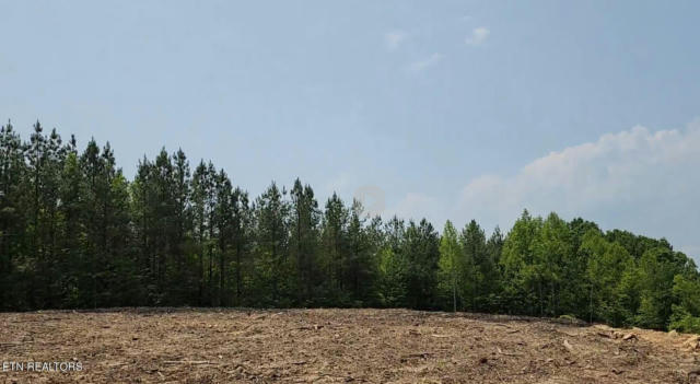 LOT 3 OFF OF OLD RUGBY PIKE, ROBBINS, TN 37852 - Image 1