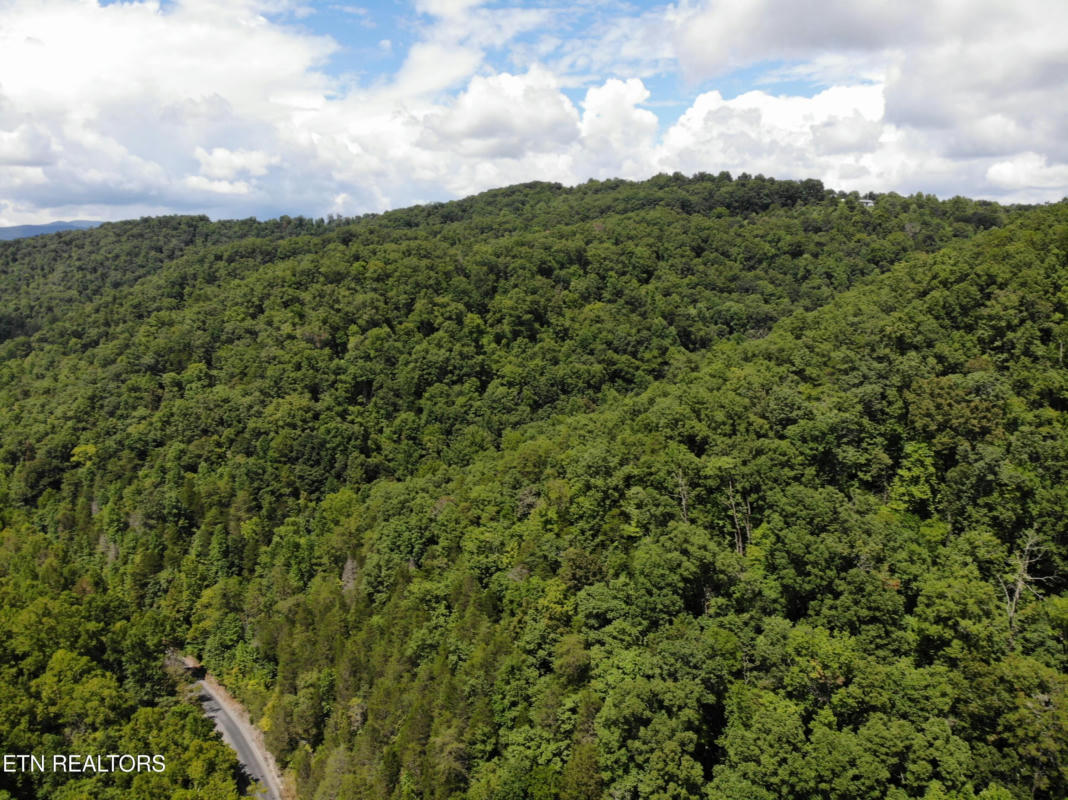 80+ ACRES BUNCH HOLLOW RD, NEW TAZEWELL, TN 37825, photo 1 of 30