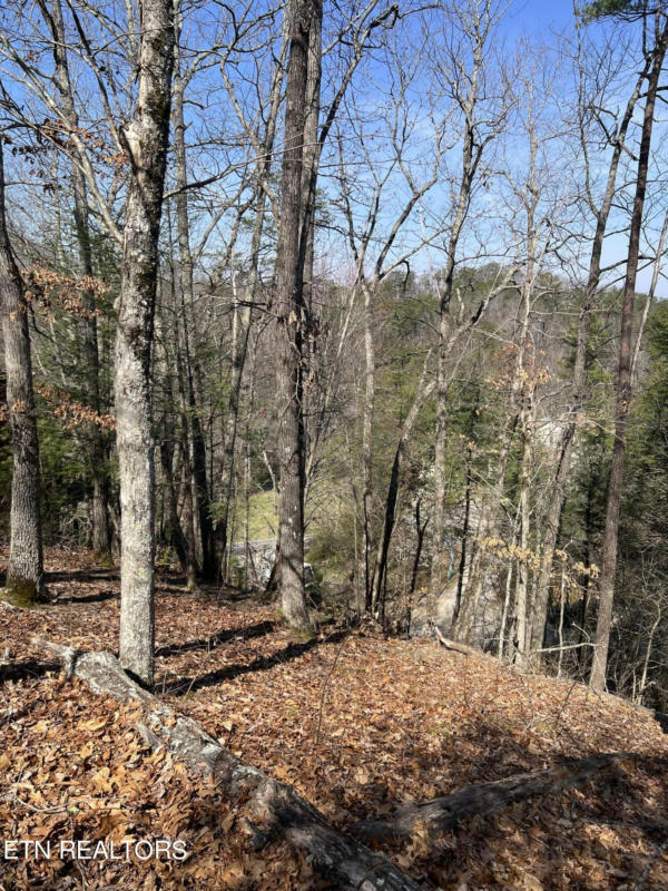 LOT 91 CHICKASAW GAP WAY, SEVIERVILLE, TN 37863, photo 1 of 5