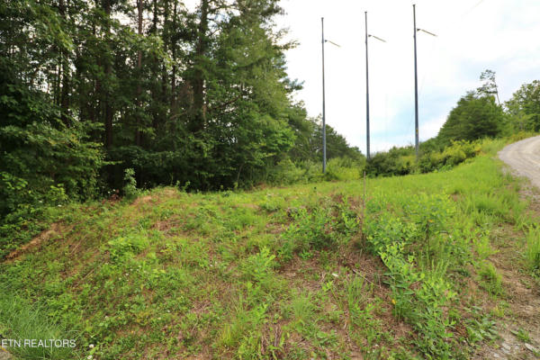 GRASSY KNOB(FKA MT VIEW RD), ROBBINS, TN 37852, photo 3 of 10