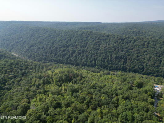 20 ACRES CHEROKEE TRL RD, WARTBURG, TN 37887 - Image 1