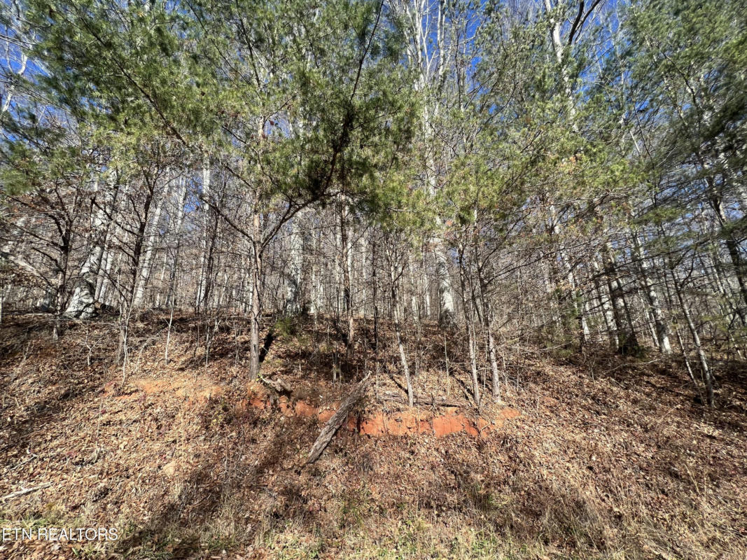 LOT 9 JONES RIDGE RD, SPEEDWELL, TN 37870, photo 1 of 8