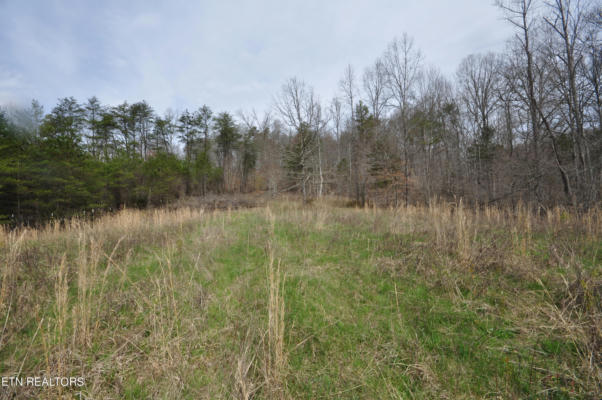 7.10 ACRES OLD TAZEWELL PIKE, LUTTRELL, TN 37779, photo 4 of 7
