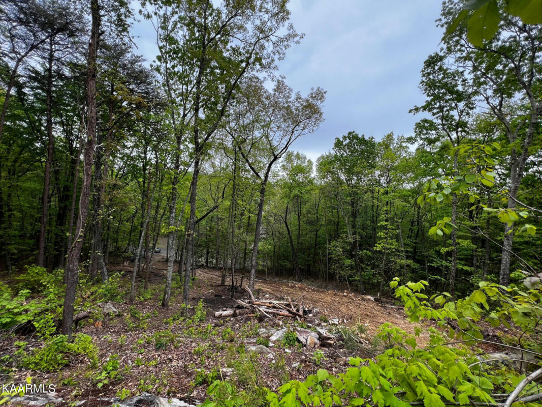 LOT 24 ESCAPE DRIVE, EVENSVILLE, TN 37332, photo 1 of 9