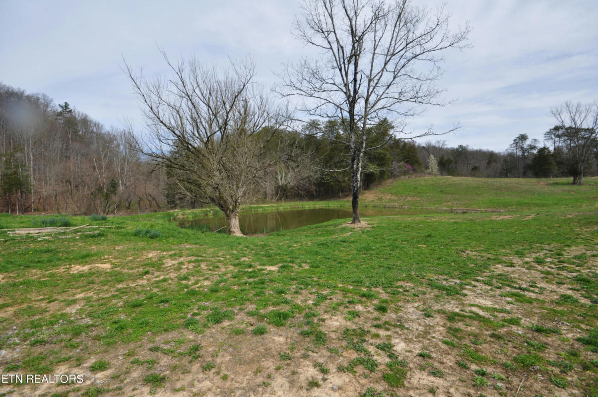 6.35 ACRES OLD TAZEWELL PIKE, LUTTRELL, TN 37779, photo 1 of 8