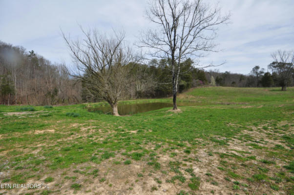 6.35 ACRES OLD TAZEWELL PIKE, LUTTRELL, TN 37779 - Image 1