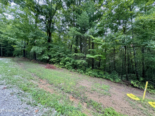 LOT 24, ELK CREEK TR, ONEIDA, TN 37841, photo 5 of 10