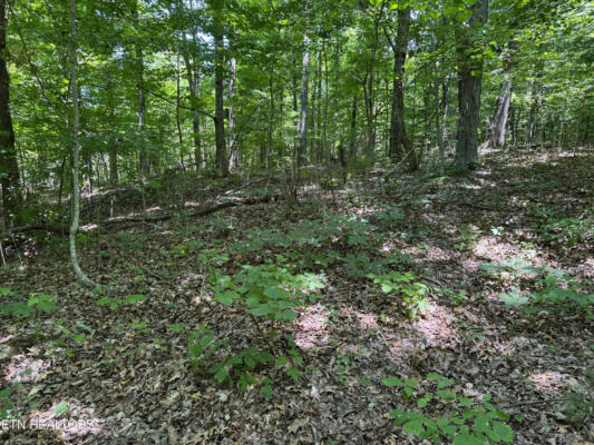6.8 ACRES FRIENDSHIP SOUTH RD, AFTON, TN 37616 - Image 1