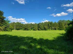 6.87 ACRES OLD DIXIE HWY, EVENSVILLE, TN 37332, photo 2 of 10