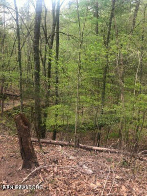 LOT 8 BLACK FOX HARBOR RD, WASHBURN, TN 37888, photo 4 of 7