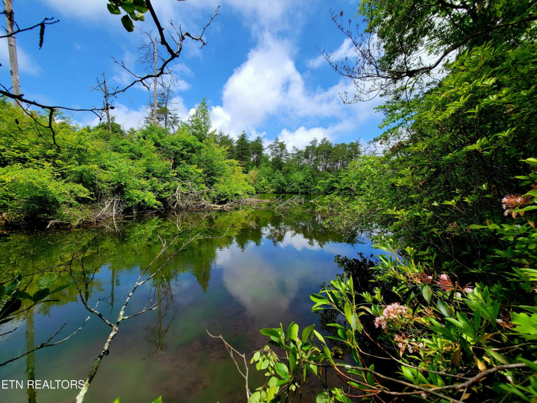 cUMBERLAND LAKES DRIVE, MONTEREY, TN 38574 Vacant Land For Sale | MLS ...