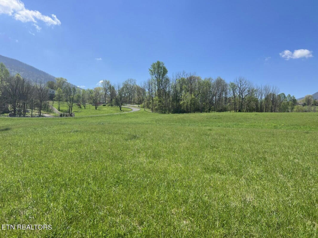 LOT 8 SPRING VIEW DRIVE, SEVIERVILLE, TN 37862, photo 1 of 17
