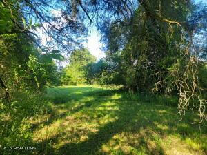 6.87 ACRES OLD DIXIE HWY, EVENSVILLE, TN 37332, photo 5 of 10