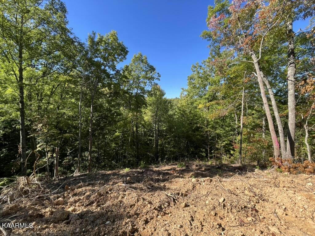 CANEY CREEK LOT 5, PIGEON FORGE, TN 37863, photo 1 of 9