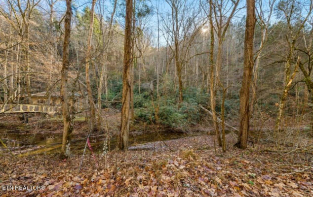 LOT 0018 COOL CREEK RD OFF, SEVIERVILLE, TN 37862 - Image 1