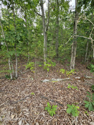 TIMBER RIDGE LOT 117, SPEEDWELL, TN 37870, photo 2 of 5