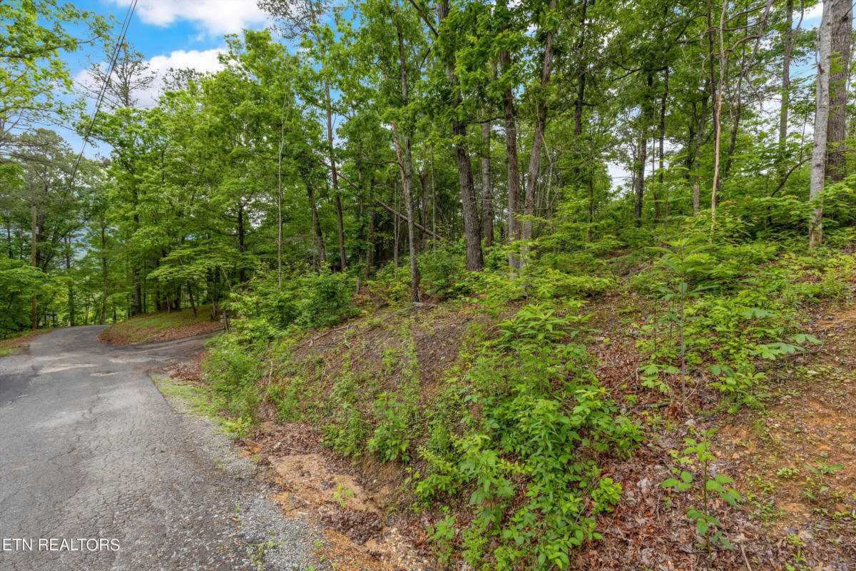 LOT 17 WHIPOORWILL HILL WAY, SEVIERVILLE, TN 37862, photo 1 of 13