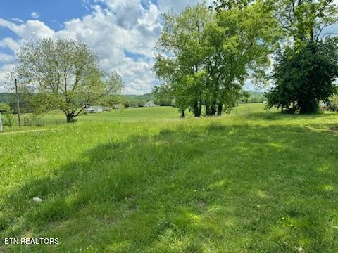 133 POWELL AVE, SWEETWATER, TN 37874, photo 2 of 12