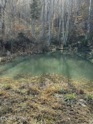 2616 CLINCH MOUNTAIN 49.5 ACRES RD, EIDSON, TN 37731, photo 2 of 60