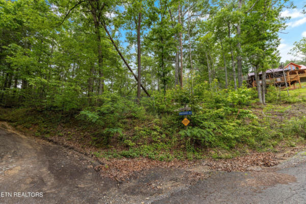 LOT 17 WHIPOORWILL HILL WAY, SEVIERVILLE, TN 37862, photo 2 of 13