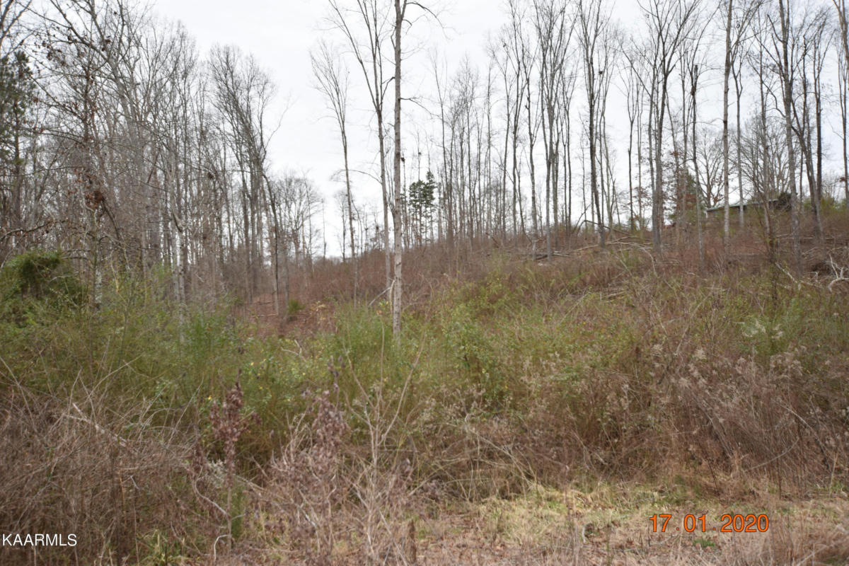 LOT 3 MAPLE GROVE RD, TEN MILE, TN 37880, photo 1 of 2